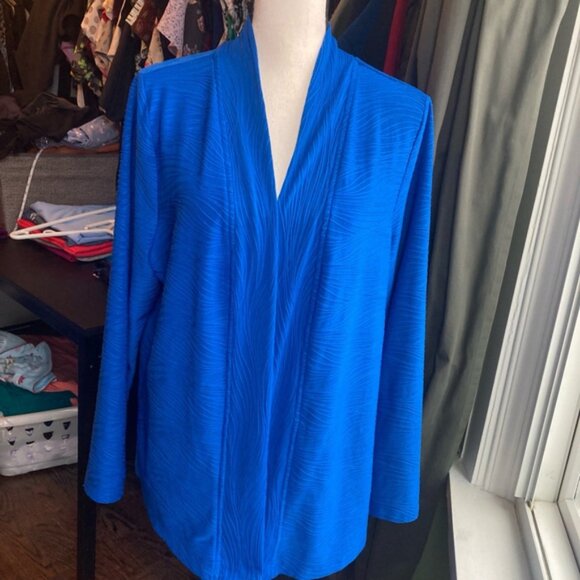 Women's TanJay Blouse, Petite, Blue - Picture 1 of 4